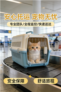2026大方宠物托运宠物托运运输怎么联系