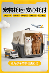2026临海宠物托运价格.宠物猫托运靠谱的公司