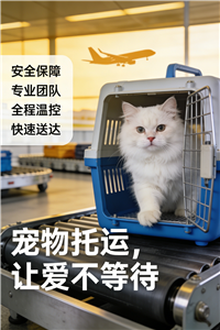 2026临海宠物托运-宠物火车托运推荐公司