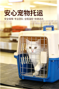 2026扬中宠物托运.宠物狗狗托运哪家的靠谱